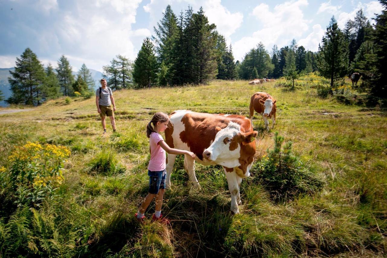 Biobauernhof Mandl Murau